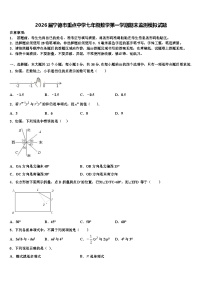 2026届宁德市重点中学七年级数学第一学期期末监测模拟试题含解析