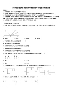2026届宁夏吴忠市名校七年级数学第一学期期末考试试题含解析