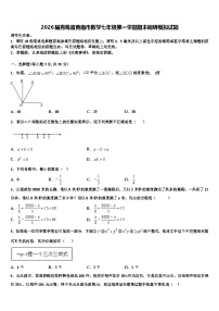 2026届青海省黄南市数学七年级第一学期期末调研模拟试题含解析