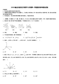 2026届山东省安丘市数学七年级第一学期期末联考模拟试题含解析
