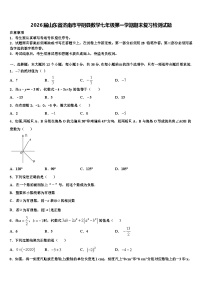 2026届山东省济南市平阴县数学七年级第一学期期末复习检测试题含解析