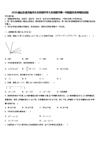 2026届山东省济南市礼乐初级中学七年级数学第一学期期末统考模拟试题含解析