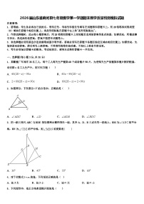 2026届山东省商河县七年级数学第一学期期末教学质量检测模拟试题含解析