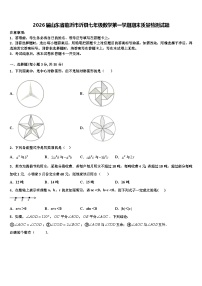 2026届山东省临沂市沂县七年级数学第一学期期末质量检测试题含解析