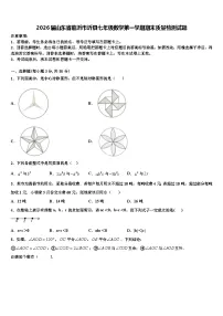 2026届山东省临沂市沂县七年级数学第一学期期末质量检测试题含解析