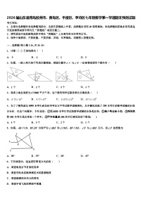 2026届山东省青岛胶州市、黄岛区、平度区、李沧区七年级数学第一学期期末预测试题含解析