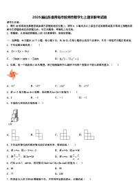 2026届山东省青岛市胶州市数学七上期末联考试题含解析