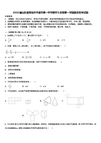 2026届山东省青岛市平度市第一中学数学七年级第一学期期末统考试题含解析
