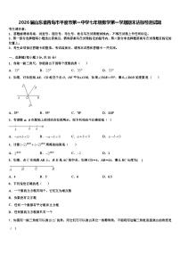 2026届山东省青岛市平度市第一中学七年级数学第一学期期末达标检测试题含解析