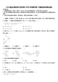 2026届山东省青岛市平度市第一中学七年级数学第一学期期末联考模拟试题含解析