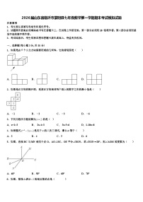 2026届山东省临沂市蒙阴县七年级数学第一学期期末考试模拟试题含解析