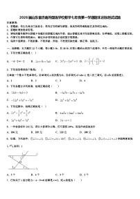 2026届山东省济南外国语学校数学七年级第一学期期末达标测试试题含解析
