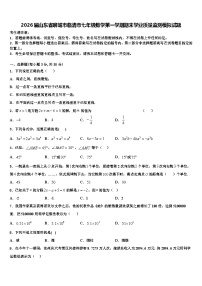 2026届山东省聊城市临清市七年级数学第一学期期末学业质量监测模拟试题含解析