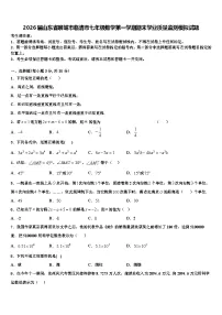 2026届山东省聊城市临清市七年级数学第一学期期末学业质量监测模拟试题含解析
