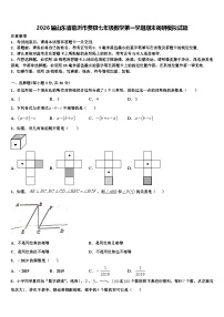2026届山东省临沂市费县七年级数学第一学期期末调研模拟试题含解析