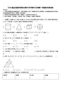 2026届山东省临沭县青云镇中心中学数学七年级第一学期期末经典试题含解析