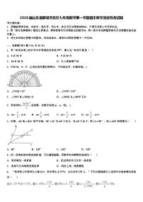 2026届山东省聊城市名校七年级数学第一学期期末教学质量检测试题含解析