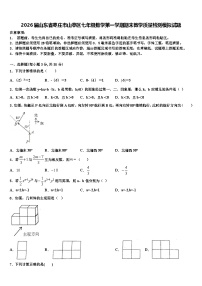 2026届山东省枣庄市山亭区七年级数学第一学期期末教学质量检测模拟试题含解析