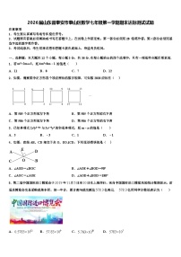 2026届山东省泰安市泰山区数学七年级第一学期期末达标测试试题含解析