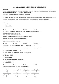 2026届山东省滕州市数学七上期末复习检测模拟试题含解析