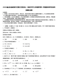 2026届山东省威海市文登区文登实验、三里河中学七年级数学第一学期期末教学质量检测模拟试题含解析