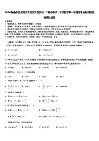 2026届山东省威海市文登区文登实验、三里河中学七年级数学第一学期期末质量跟踪监视模拟试题含解析