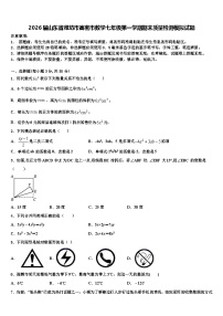 2026届山东省潍坊市高密市数学七年级第一学期期末质量检测模拟试题含解析