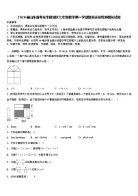 2026届山东省枣庄市薛城区七年级数学第一学期期末达标检测模拟试题含解析