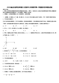 2026届山东省枣庄峄城区六校联考七年级数学第一学期期末统考模拟试题含解析