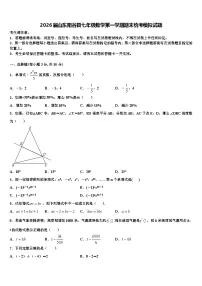 2026届山东阳谷县七年级数学第一学期期末统考模拟试题含解析