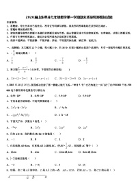 2026届山东枣庄七年级数学第一学期期末质量检测模拟试题含解析