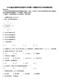 2026届山东省莱芜市名校数学七年级第一学期期末学业水平测试模拟试题含解析