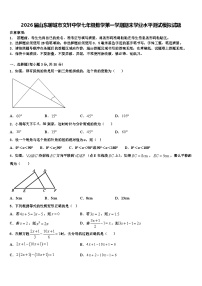 2026届山东聊城市文轩中学七年级数学第一学期期末学业水平测试模拟试题含解析