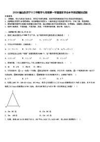 2026届山东济宁十三中数学七年级第一学期期末学业水平测试模拟试题含解析