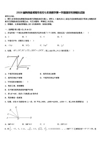2026届陕西省咸阳市名校七年级数学第一学期期末检测模拟试题含解析