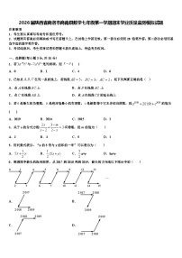 2026届陕西省商洛市商南县数学七年级第一学期期末学业质量监测模拟试题含解析