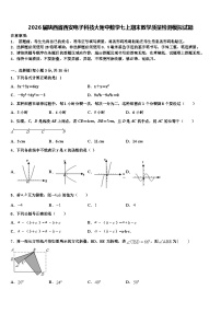 2026届陕西省西安电子科技大附中数学七上期末教学质量检测模拟试题含解析