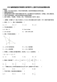 2026届陕西省西安市陕西师大附中数学七上期末学业质量监测模拟试题含解析
