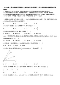 2026届上海市杨浦区上海同济大附属存志学校数学七上期末质量跟踪监视模拟试题含解析
