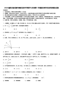 2026届四川省成都市高新实验中学数学七年级第一学期期末教学质量检测模拟试题含解析