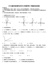 2026届四川省成都市金牛区七年级数学第一学期期末监测试题含解析