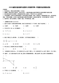 2026届四川省成都市金堂县七年级数学第一学期期末监测模拟试题含解析