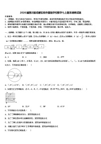 2026届四川省成都实验外国语学校数学七上期末调研试题含解析