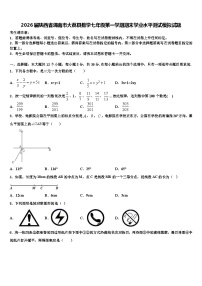 2026届陕西省渭南市大荔县数学七年级第一学期期末学业水平测试模拟试题含解析