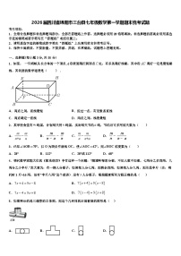 2026届四川省绵阳市三台县七年级数学第一学期期末统考试题含解析