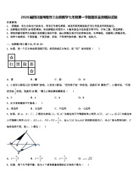 2026届四川省绵阳市三台县数学七年级第一学期期末监测模拟试题含解析