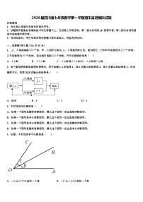 2026届四川省七年级数学第一学期期末监测模拟试题含解析