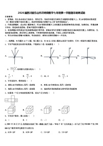 2026届四川省乐山市井研县数学七年级第一学期期末调研试题含解析