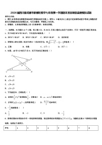 2026届四川省成都市新都区数学七年级第一学期期末质量跟踪监视模拟试题含解析