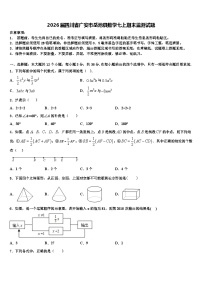 2026届四川省广安市岳池县数学七上期末监测试题含解析